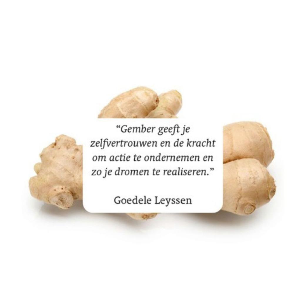 RainPharma room spray ginger 50ml, Enlèvement ou Envoi, Neuf