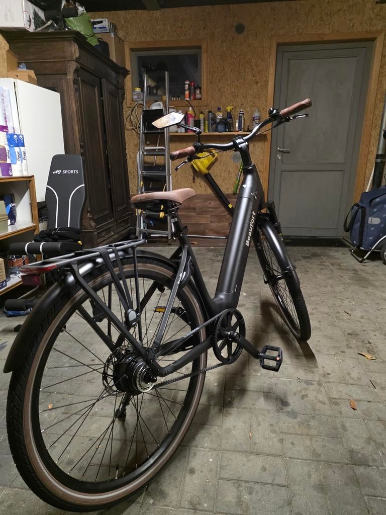 Elektrische fiets, Fietsen en Brommers, Elektrische fietsen, Ophalen