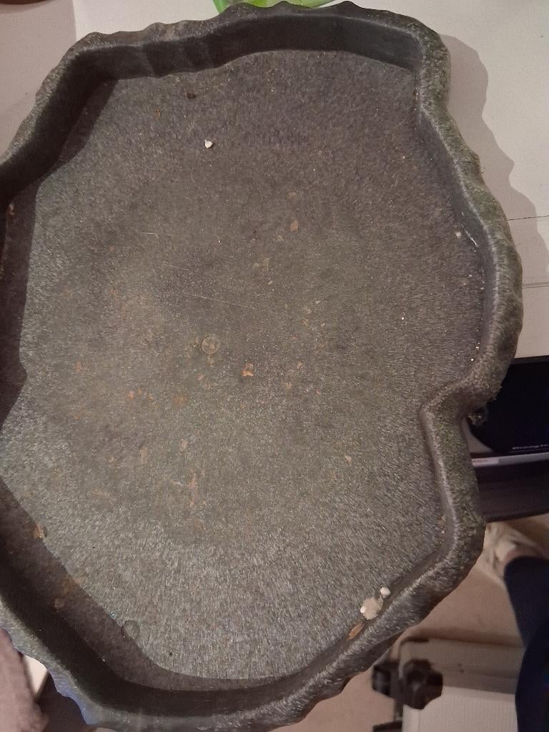 Waterbak reptielen, Dieren en Toebehoren