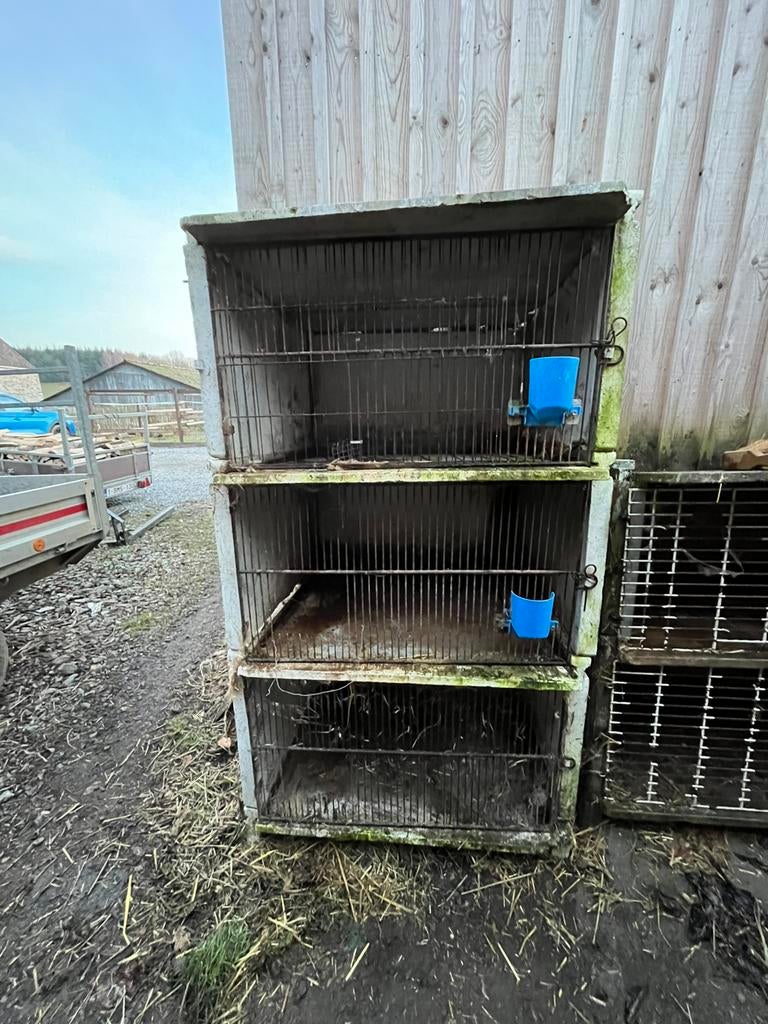 Clapier beton, Animaux & Accessoires, Lapin, 75 à 110 cm, Cage, Enlèvement