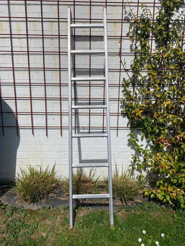 Échelle Perfecty simple droite 12 échelons, Bricolage & Construction, Enlèvement, Utilisé, Échelle