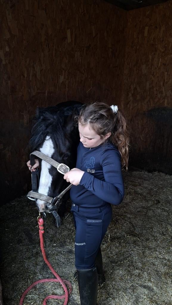 Hele mooie B pony, Dieren en Toebehoren, Ophalen of Verzenden