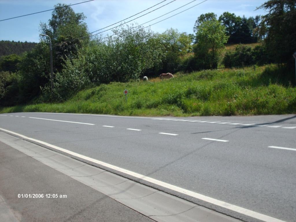 Prairies chevaux, poneys ou moutons, Pâturage, 2 ou 3 chevaux ou poneys