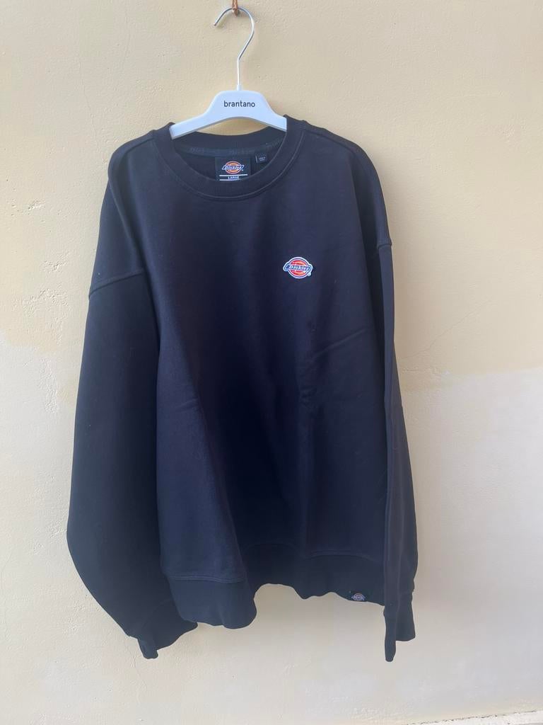 Large trui Dickies, Ophalen of Verzenden, Zo goed als nieuw