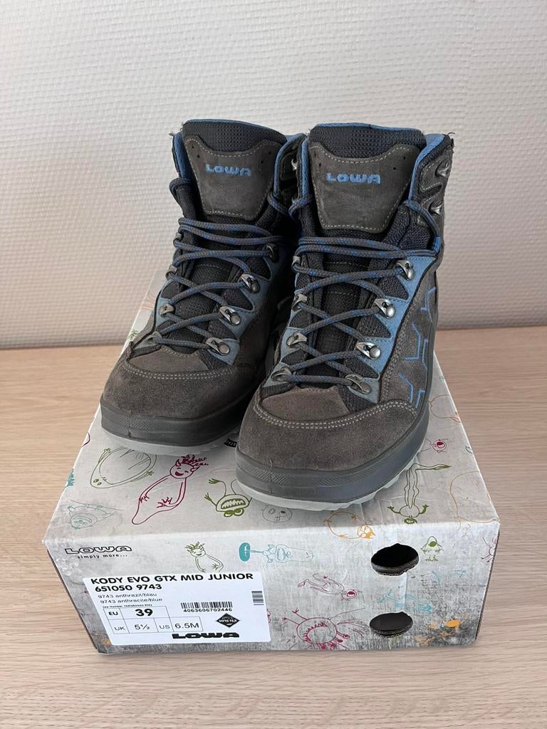 Wandelschoenen Lowa maat 39, Sport en Fitness, Bergsport en Wandelen, Ophalen of Verzenden, Gebruikt, Schoenen