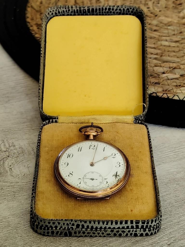 Montre Zénith métal doublé or, Enlèvement