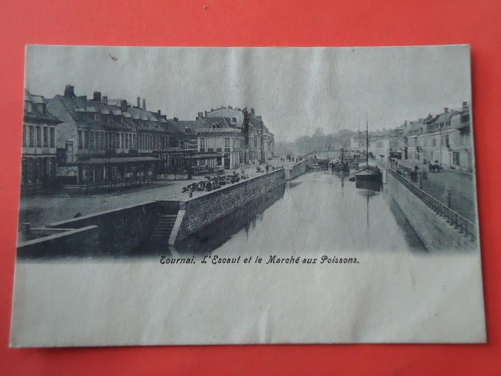 Tounai L' Escaul et le Marché aux Poissons, Enlèvement ou Envoi, Avant 1920, Non affranchie, Hainaut