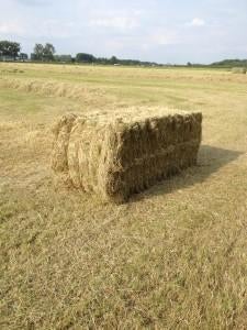 Grote pakken hooi, Ophalen