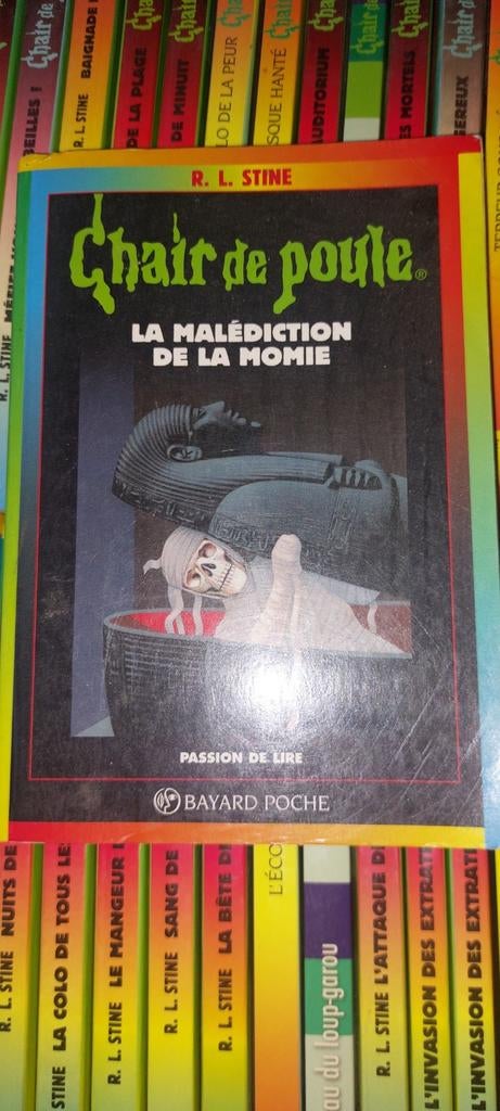 34 chair de poule, Livres, Enlèvement ou Envoi, Comme neuf