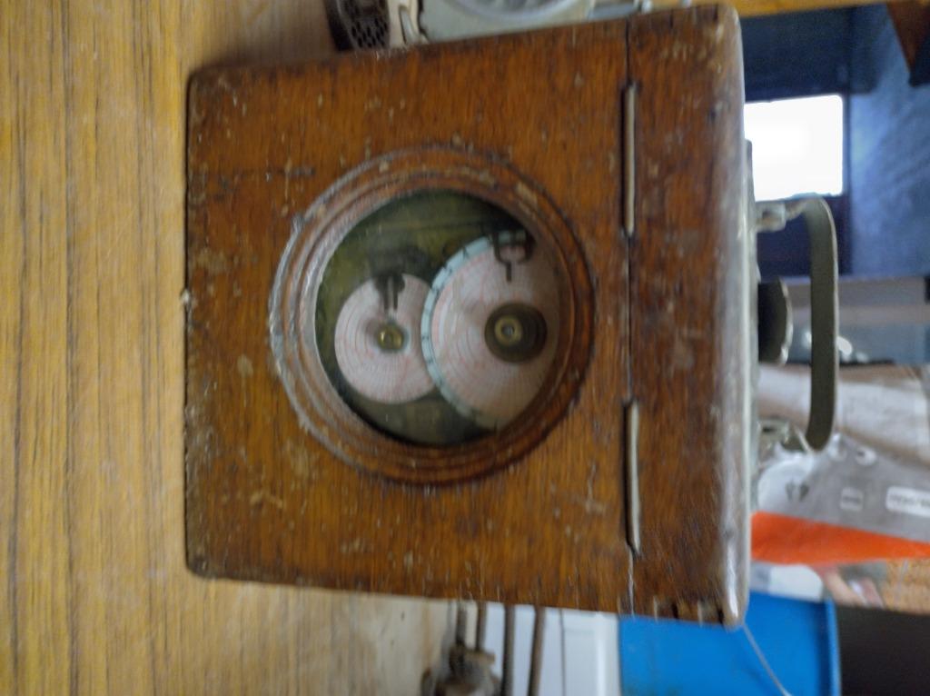 Duiven prikklok, Animaux & Accessoires