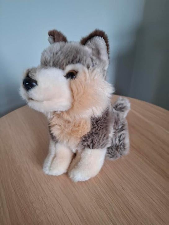 Knuffel wolf Ravensden uit dierentuin, Kinderen en Baby's, Speelgoed | Knuffels en Pluche, Ophalen, Zo goed als nieuw, Overige typen