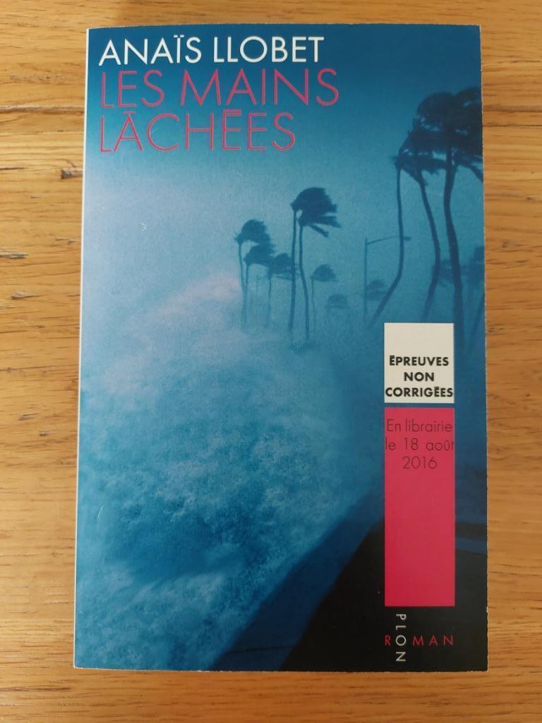 Les mains lâchées - Anaïs LLobet, Boeken, Ophalen of Verzenden, Zo goed als nieuw, Llobet Anaïs