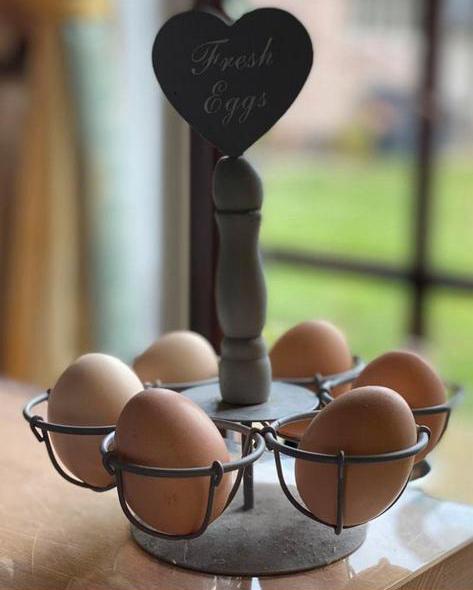 USA zijdehoen broedeieren, Poule ou poulet