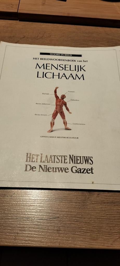 Het menselijk lichaam, Enlèvement