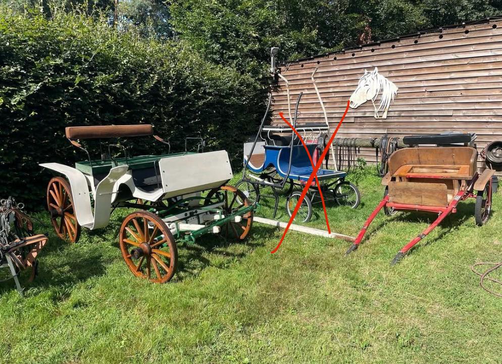 2 koetsen te koop + harnachement, Paard