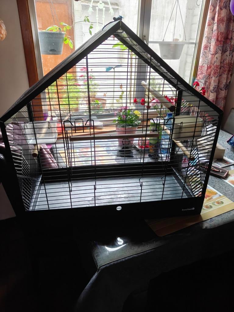 Papagaai kooi, Dieren en Toebehoren, Ophalen of Verzenden