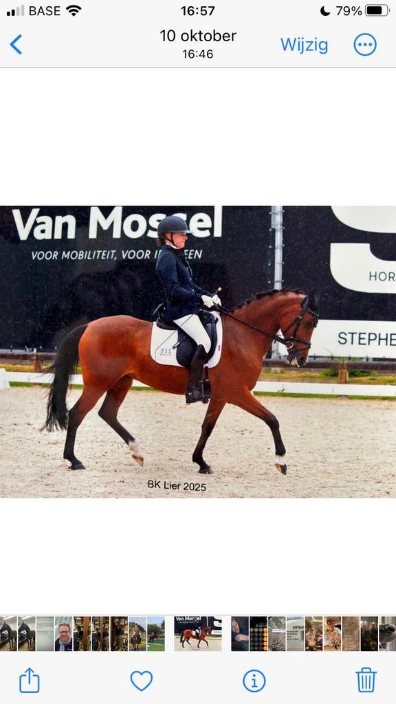 Brave wedstrijd pony (d), Ophalen, Zo goed als nieuw