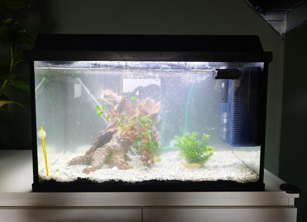 Aqaurium 60 liter (zie inschrijving/vaste prijs), Ophalen, Pomp