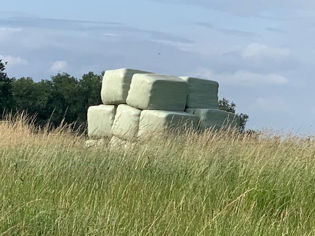 Hooi en voordroog, Zakelijke goederen, Ophalen