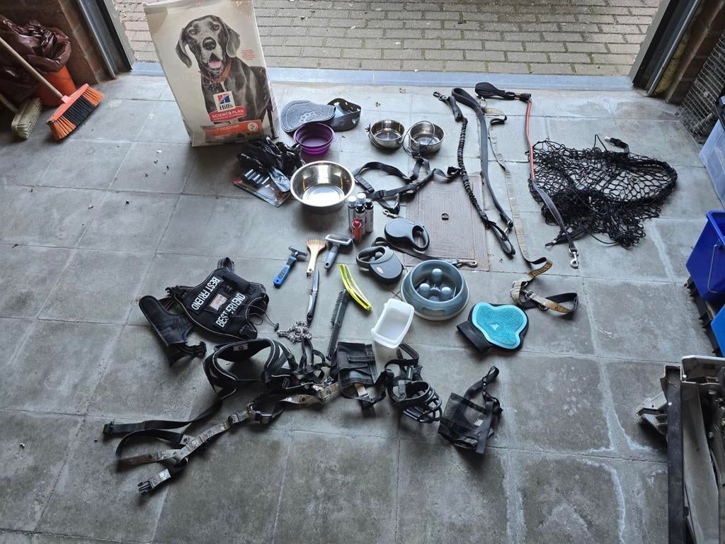 Lot de differente accessoir pour grand chien, Enlèvement