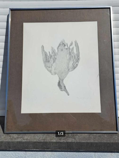 Lithographie oiseaux mort signe paul georges klein, Antiquités & Art, Enlèvement ou Envoi