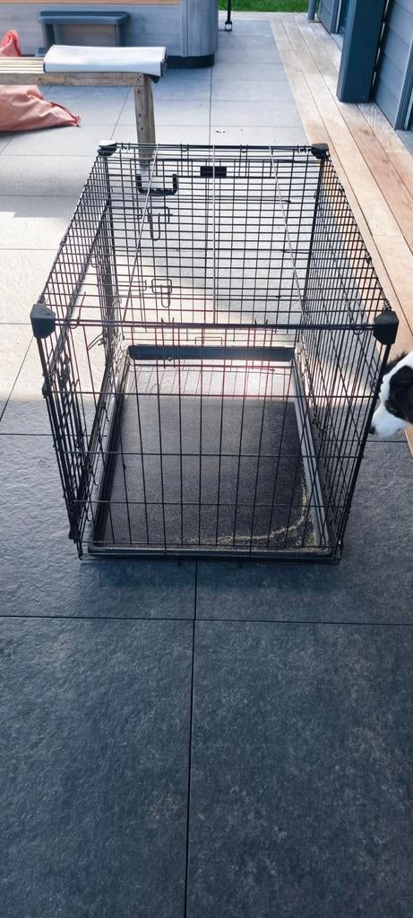 Cage pour chien, Animaux & Accessoires