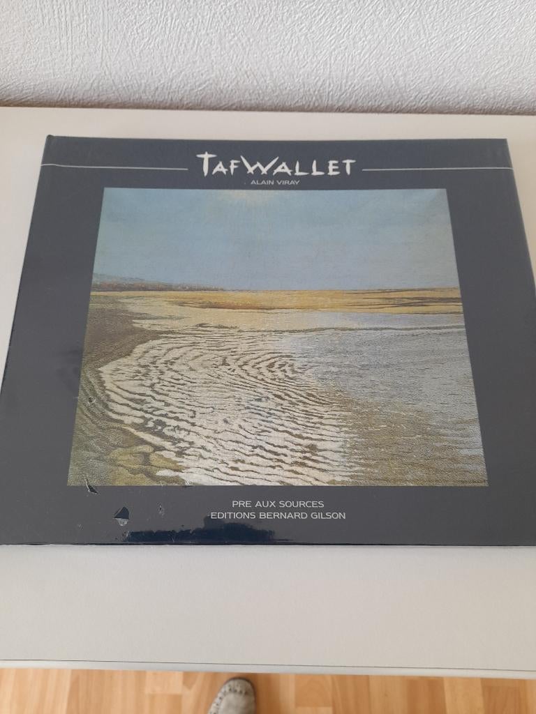 nouveau livre, vie et œuvre du peintre Taf Wallet, Enlèvement ou Envoi, Comme neuf, Peinture et dessin