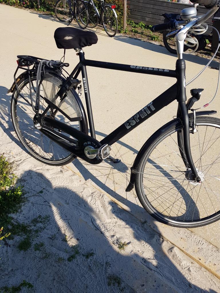 Gazelle mannefiets, Fietsen en Brommers, Ophalen, Gazelle