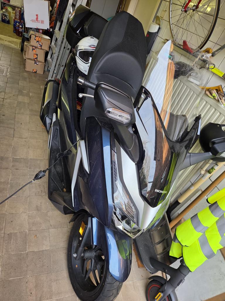 Honda Forza 300 (2019) – slechts 2.430 km - TOPstaat, Motoren, Scooter, 279 cc, Minimaal motorrijbewijs A2, 1 cilinder