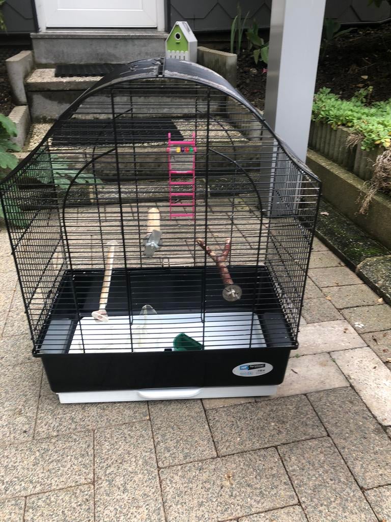 Cage inséparable ou oiseaux, Animaux & Accessoires, Enlèvement, Utilisé, Cage à oiseaux