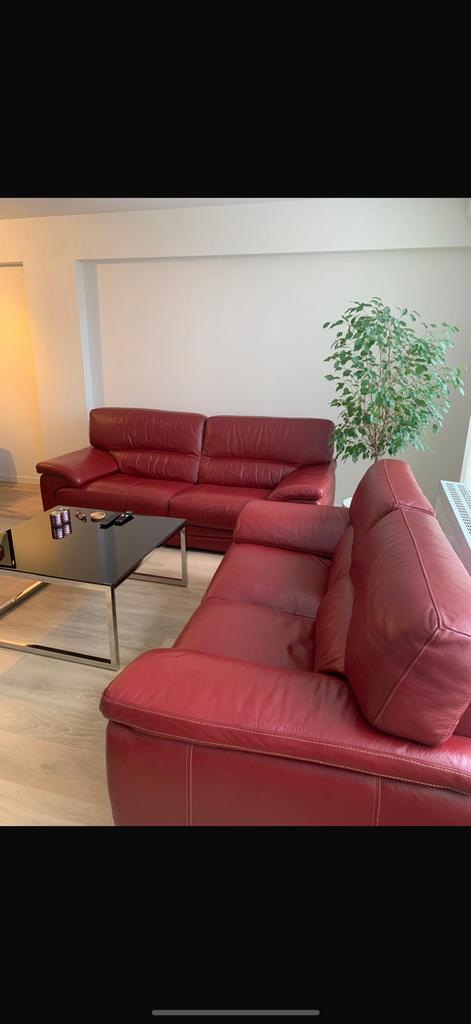 sièges en cuir de buffle véritable (3 places + 2 places), Enlèvement, Comme neuf