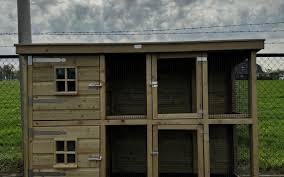 Konijnenren nachthok konijnen op voorraad, Dieren en Toebehoren, Vrouwelijk, Middelgroot, 0 tot 2 jaar