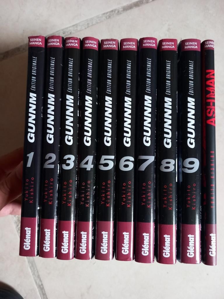 Manga Gunnm + Ashman intégrale, Enlèvement ou Envoi, Comme neuf