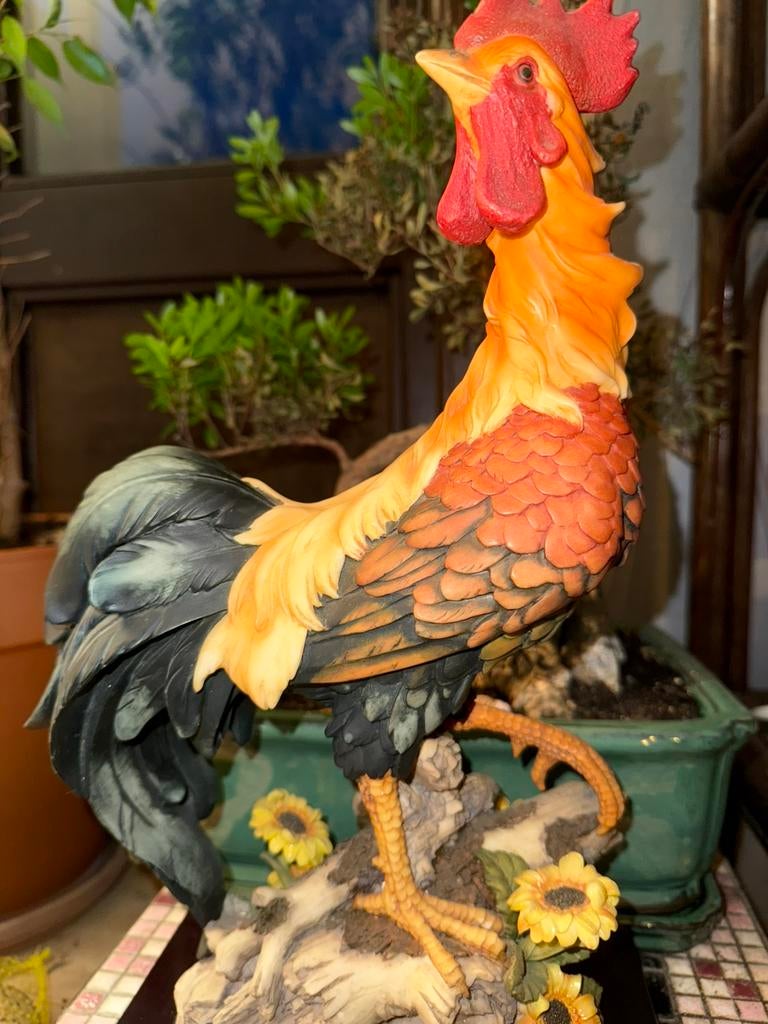 Haanhouding op de houten basis Arte Fiorentina, Ophalen