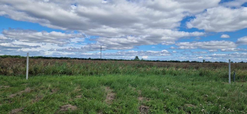 Te koop in Hongarije - Tiszanána idn230802, Autres types, Europe autre, Village