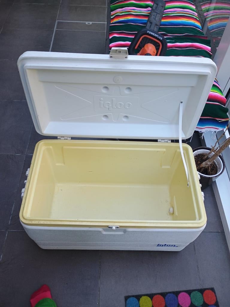 Iglo koelbox voor festivals of vissers 70cm, Caravans en Kamperen, Koelboxen, Ophalen, Koelbox