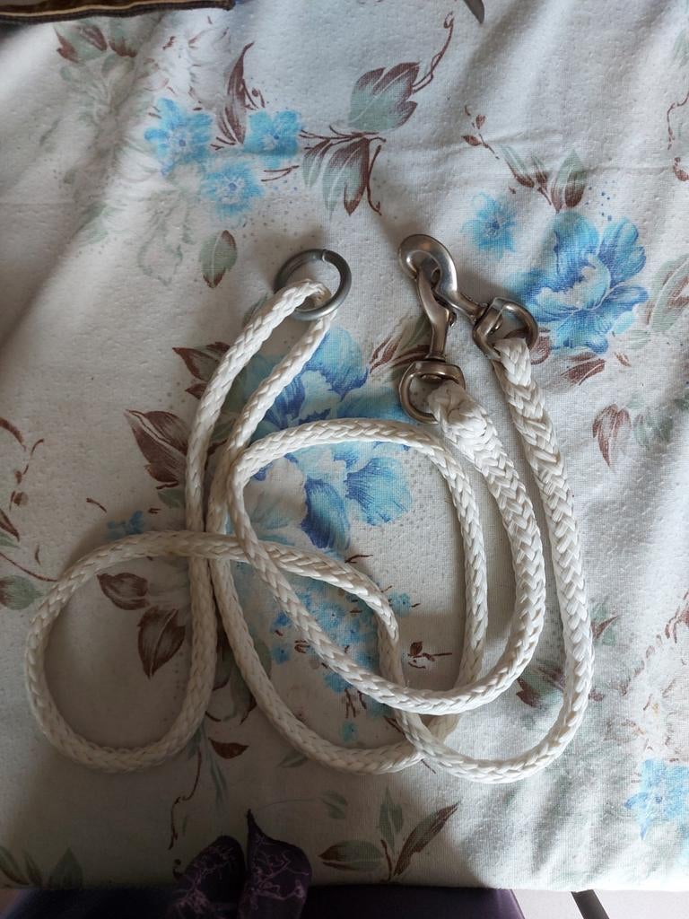 Longe double mousquetons, Animaux & Accessoires, Enlèvement ou Envoi