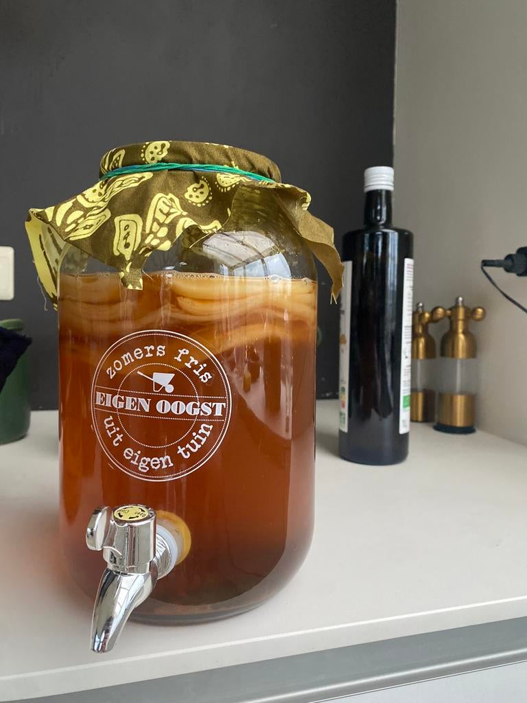 Scoby Kombucha, Diversen, Levensmiddelen, Ophalen