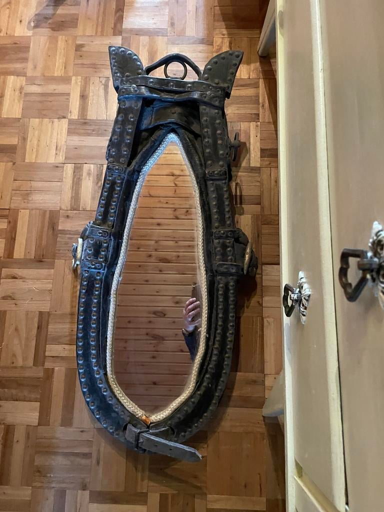 Spiegel, Enlèvement, Utilisé