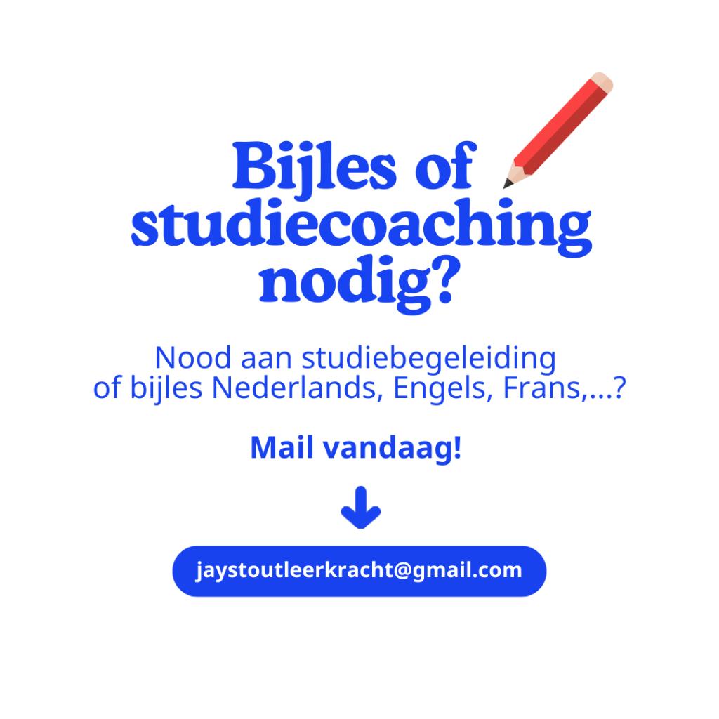Bijlessen Nederlands en studiecoaching in Gent, Privéles, Bijles