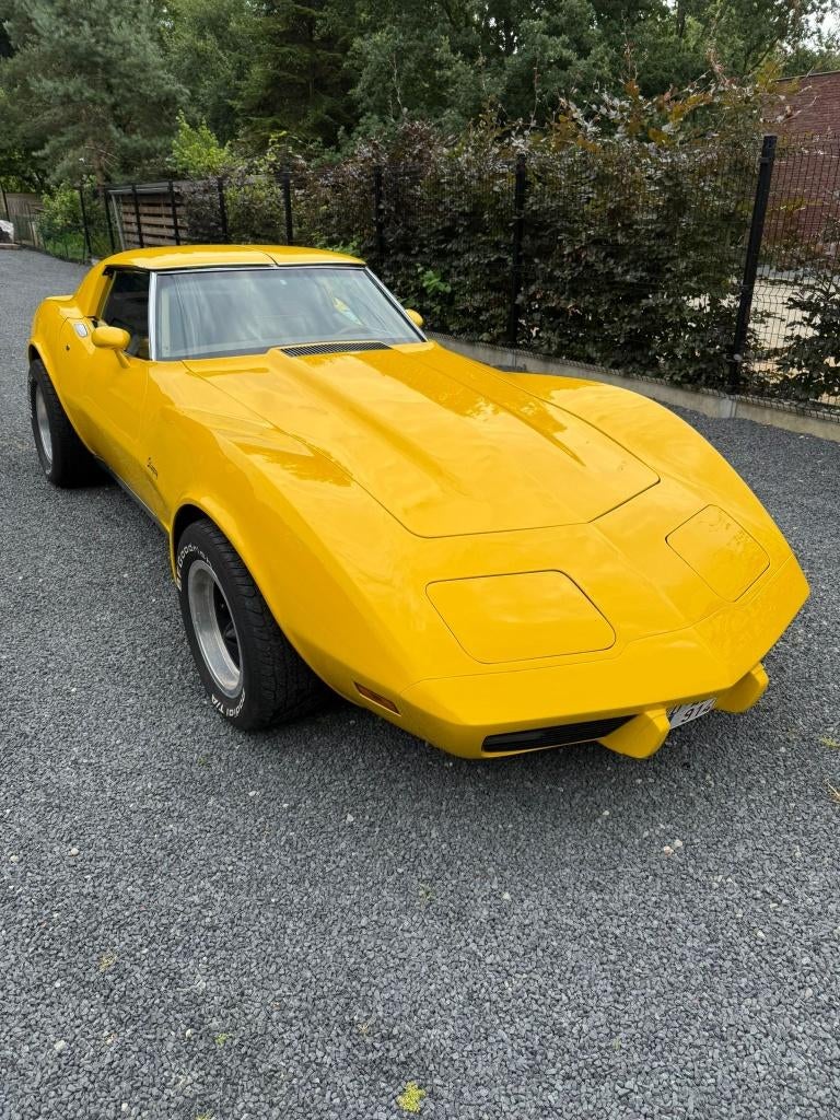 Corvette stingray, Auto's, Chevrolet, Corvette, Particulier, Te koop, Benzine