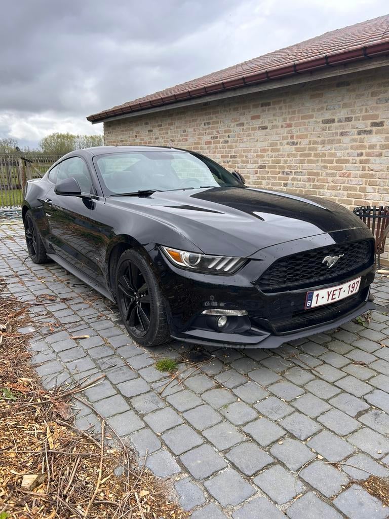 Mustang Ecoboost 2.3, Autos, Ford, Particulier, Mustang, Boîte manuelle, Enlèvement