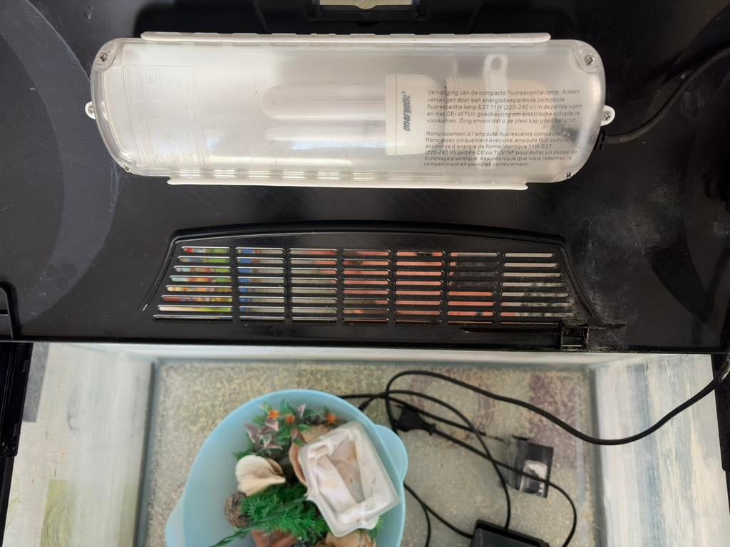 Aquarium 54 Liter, Dieren en Toebehoren, Reptielen en Amfibieën | Toebehoren, Ophalen, Gebruikt