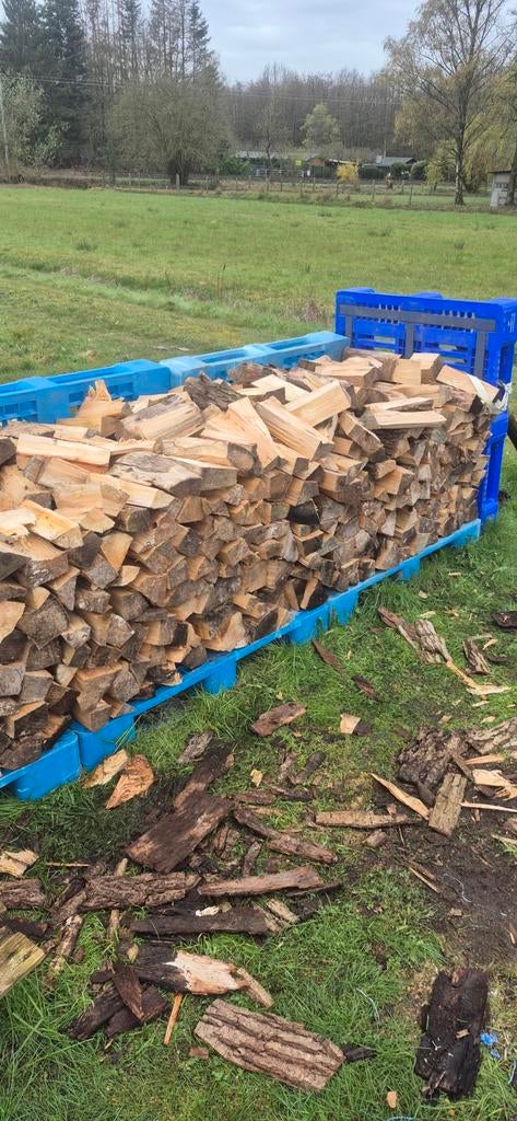 2,5 cube droog brandhout, Tuin en Terras, Brandhout, Ophalen of Verzenden