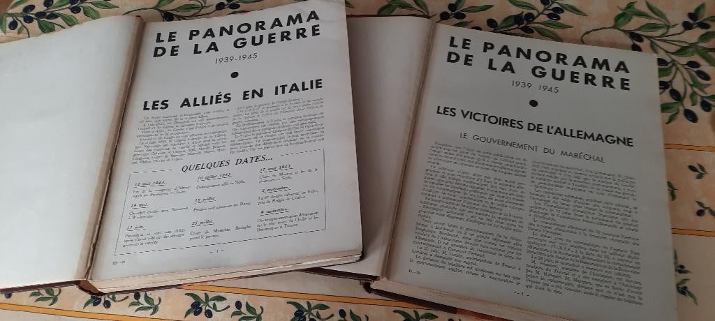 2 tomes guerre 1939 - 1945 ., Livres, Enlèvement ou Envoi, Avant 1940, Utilisé, Armée de terre