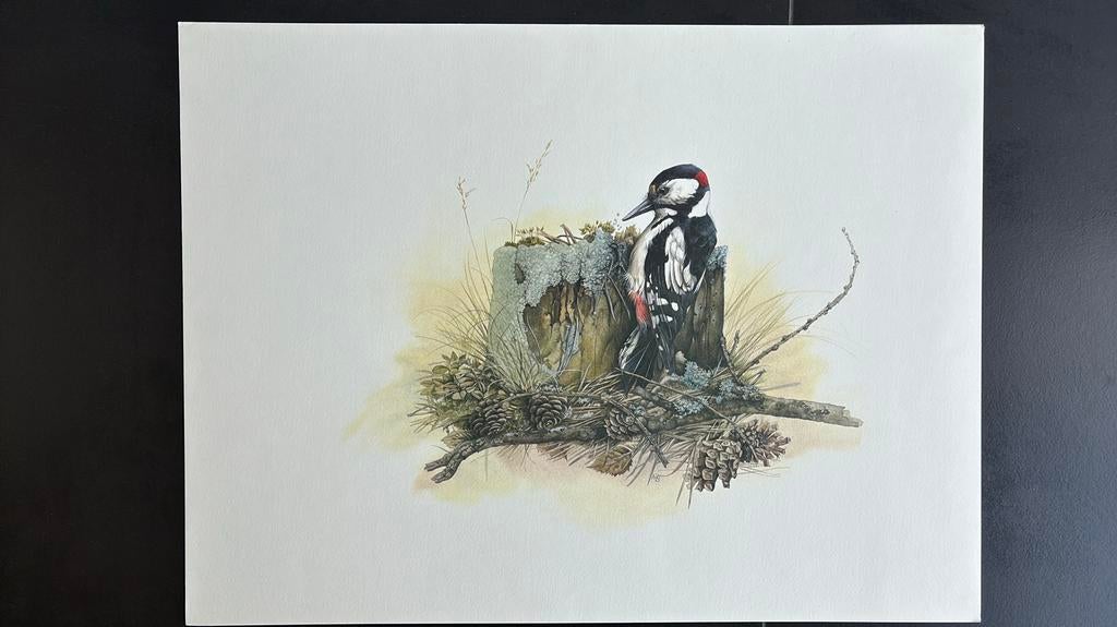 Marjolein Bastin 4 lithographies d’épreuves Non signées, Enlèvement