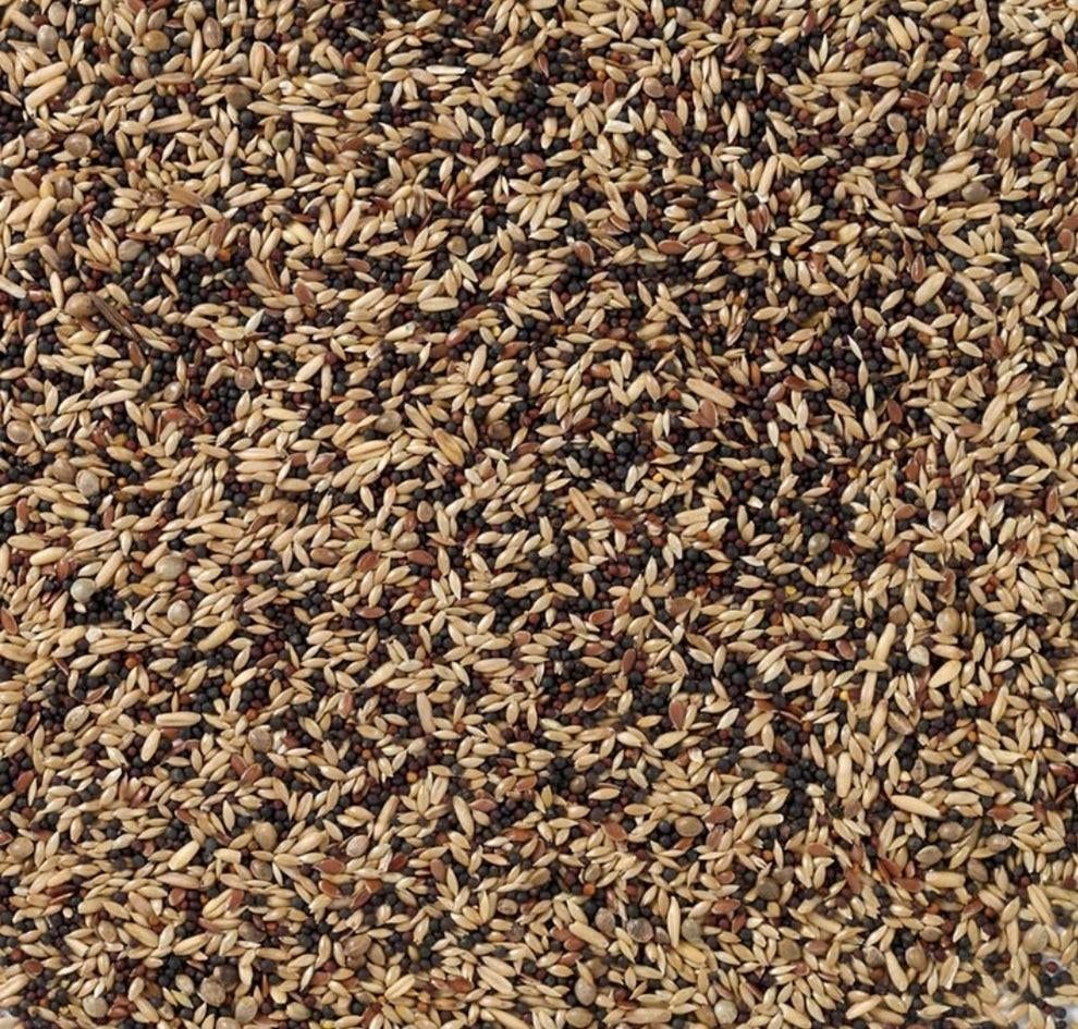 Canary Classic 5 kg, Animaux & Accessoires, Nourriture pour Animaux, Enlèvement