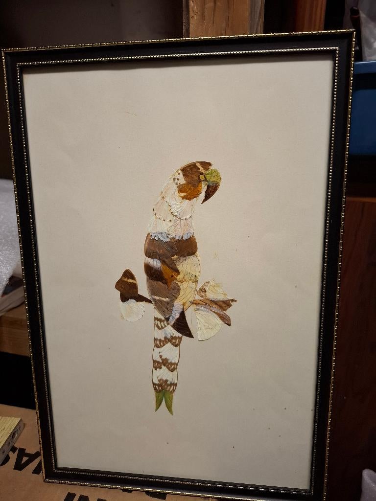 kader met afbeelding papegaai gemaakt uit vlindervleugels, Antiek en Kunst, Ophalen