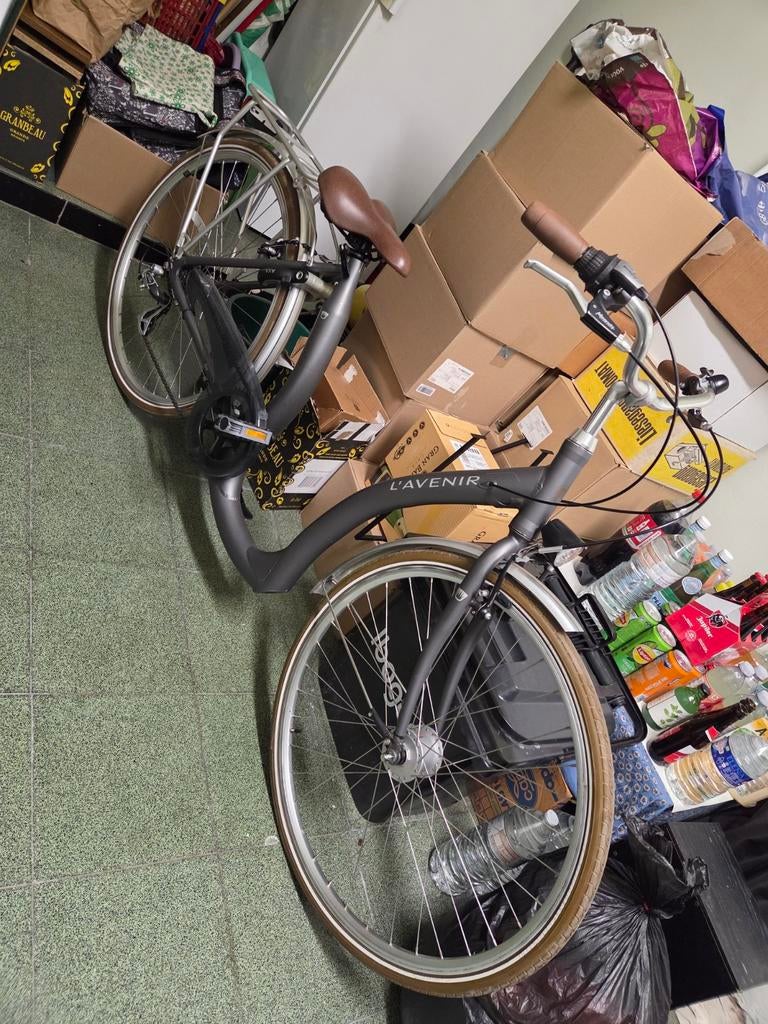 Lavenir stadsfiets-laag model, Ophalen