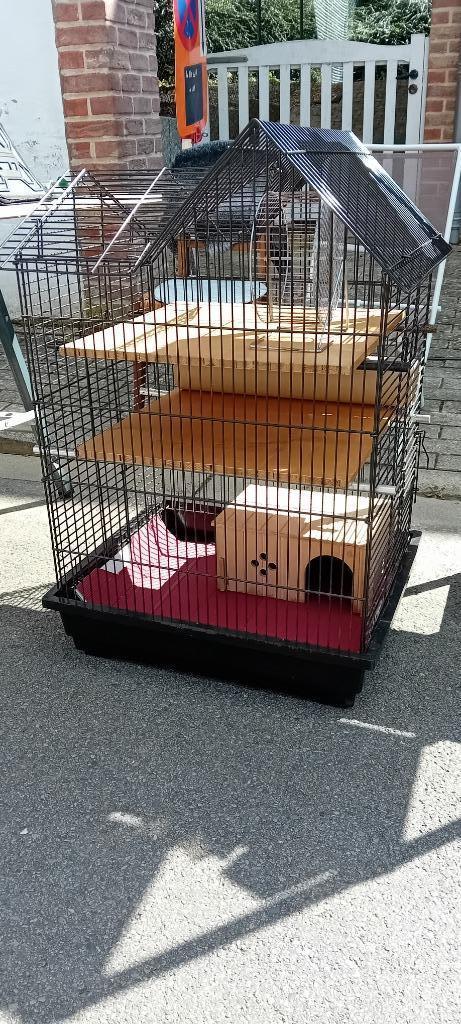 Cage pour rongeurs, Animaux & Accessoires, Enlèvement, Utilisé